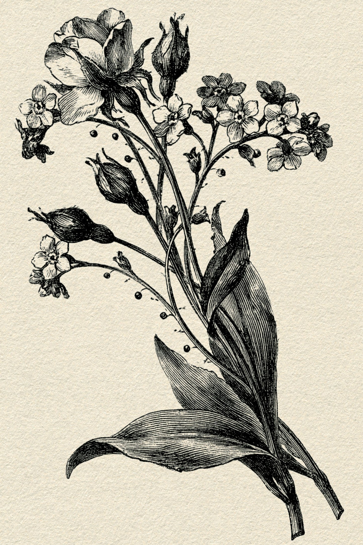 Digital PDF embroidery design bundle cover preview for Botanical Garden Archive Bundle 2, featuring curated embroidery patterns, motif library references and textile design… - preview 29