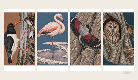 Four Botanical Forests bird studies comparing shore walking, wading, cliff clinging and branch gripping as different systems of foot contact and body weight.