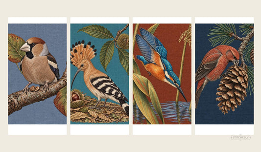 Four Botanical Forests bird studies comparing seed-cracking, probing, spearing and cone-opening bill geometry.