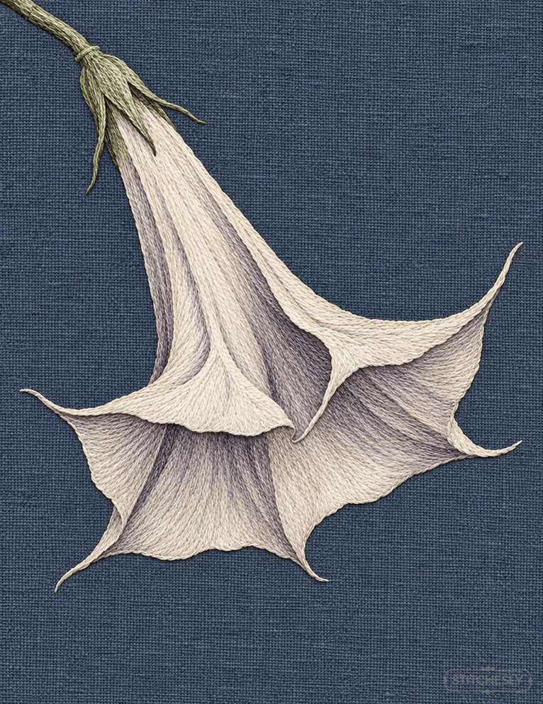 Study 53, Datura Bell Seen from Below, an AI-assisted embroidery interpretation from The Luminous Botanical Cabinet.
