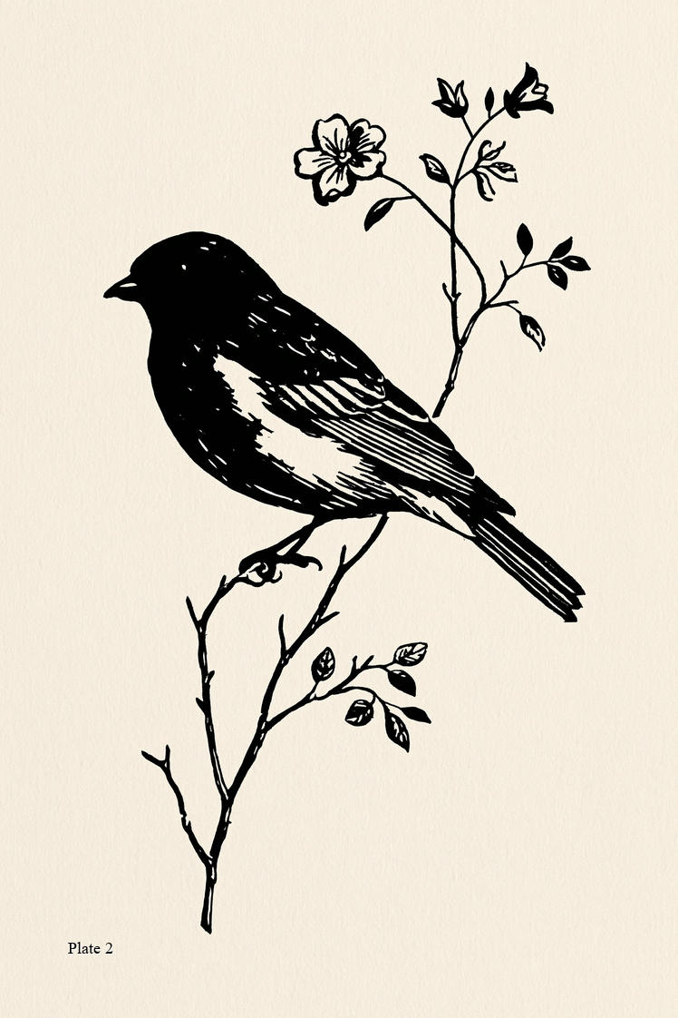 Vogel-Stickerei - Buch 1 | Digitales PDF-Stickdesign-Buch