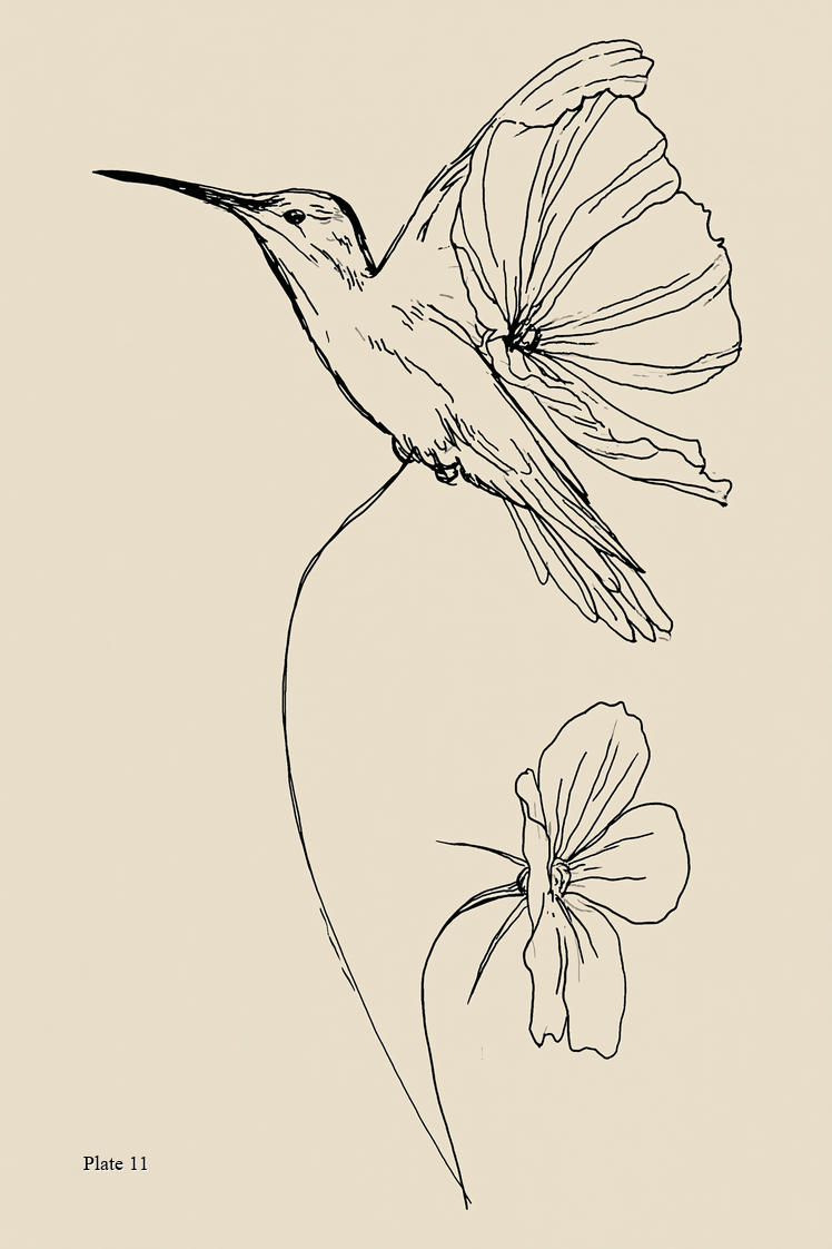 Vogel-Stickerei - Buch 1 | Digitales PDF-Stickdesign-Buch