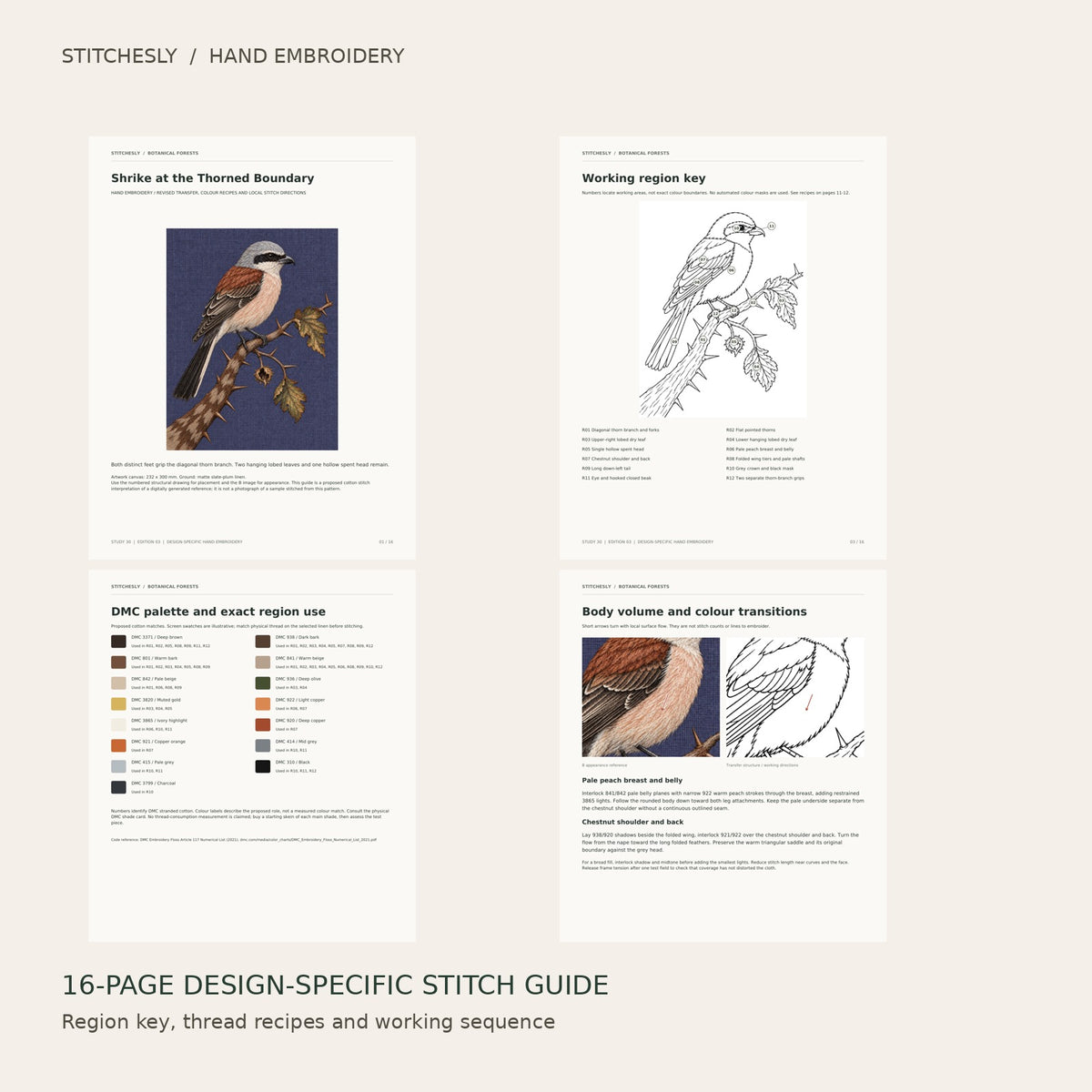 Shrike at the Thorned Boundary: preview of the 16-page stitch guide, region key, DMC palette and stitching instructions