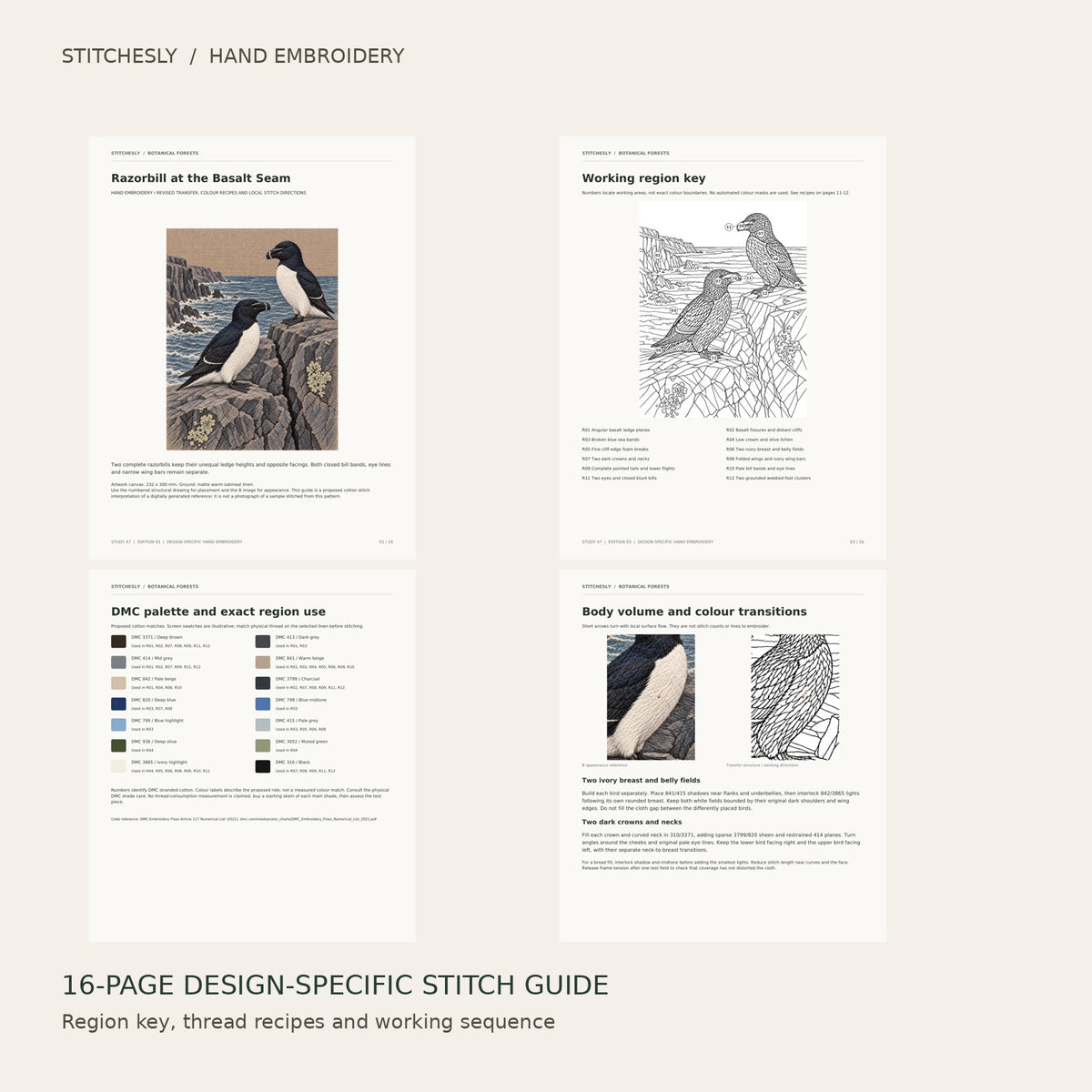 Razorbill at the Basalt Seam: preview of the 16-page stitch guide, region key, DMC palette and stitching instructions
