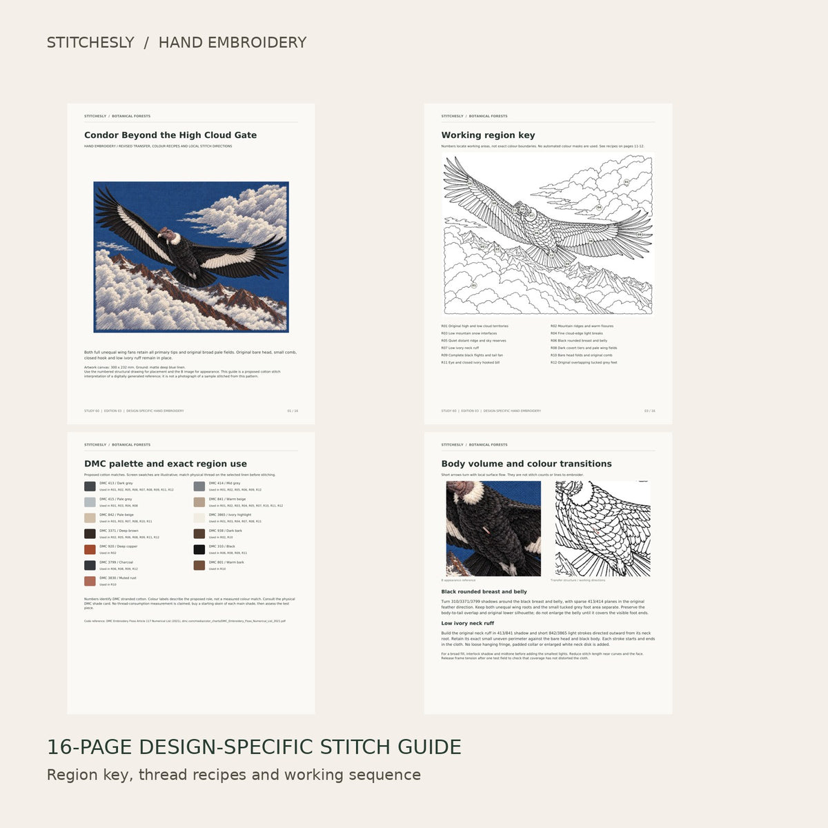 Condor Beyond the High Cloud Gate: preview of the 16-page stitch guide, region key, DMC palette and stitching instructions