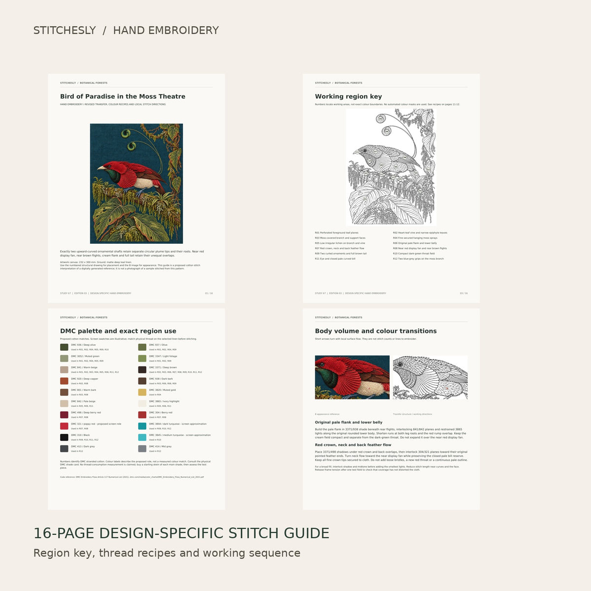 Bird of Paradise in the Moss Theatre: preview of the 16-page stitch guide, region key, DMC palette and stitching instructions