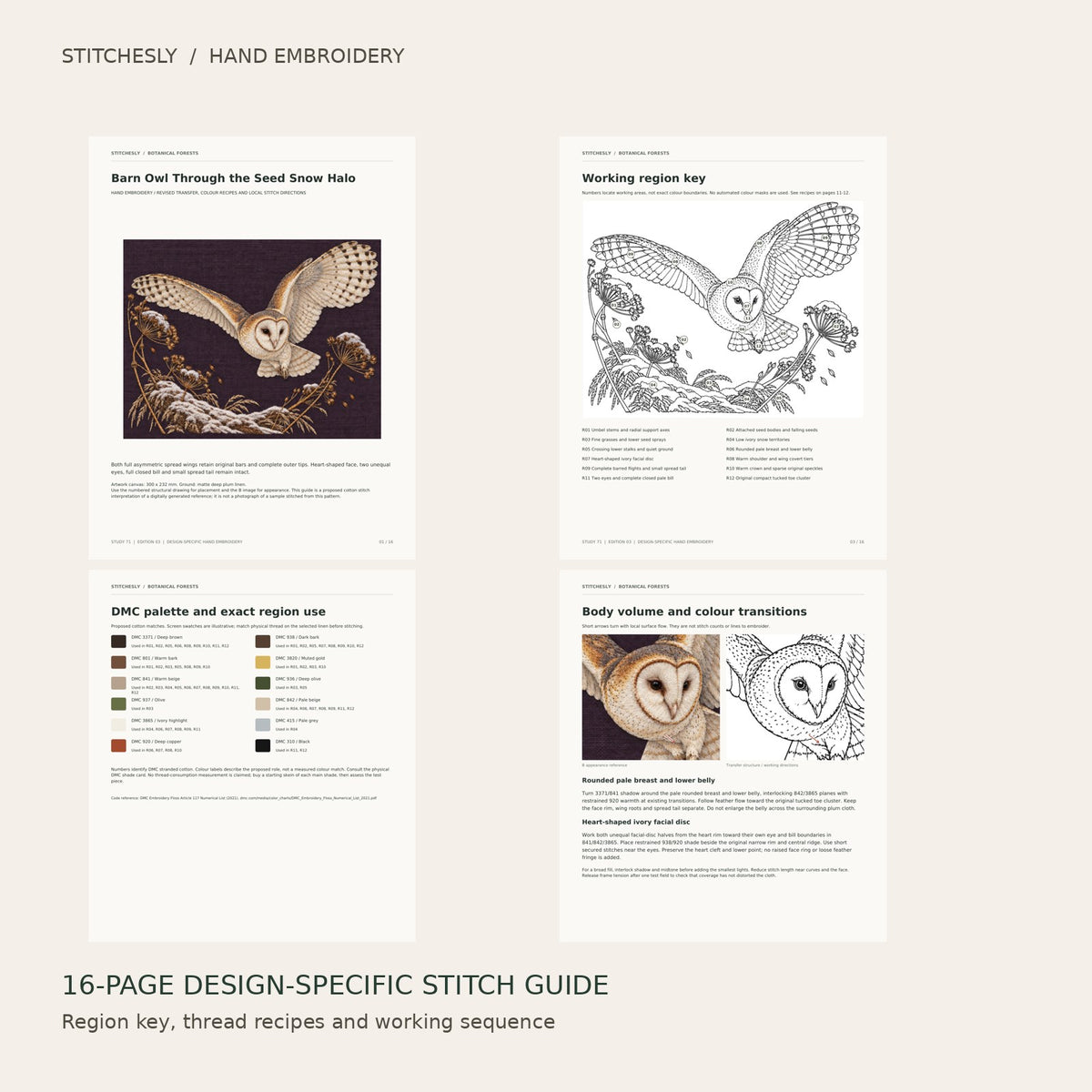 Barn Owl Through the Seed Snow Halo: preview of the 16-page stitch guide, region key, DMC palette and stitching instructions