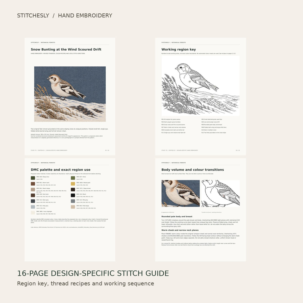 Snow Bunting at the Wind Scoured Drift: preview of the 16-page stitch guide, region key, DMC palette and stitching instructions