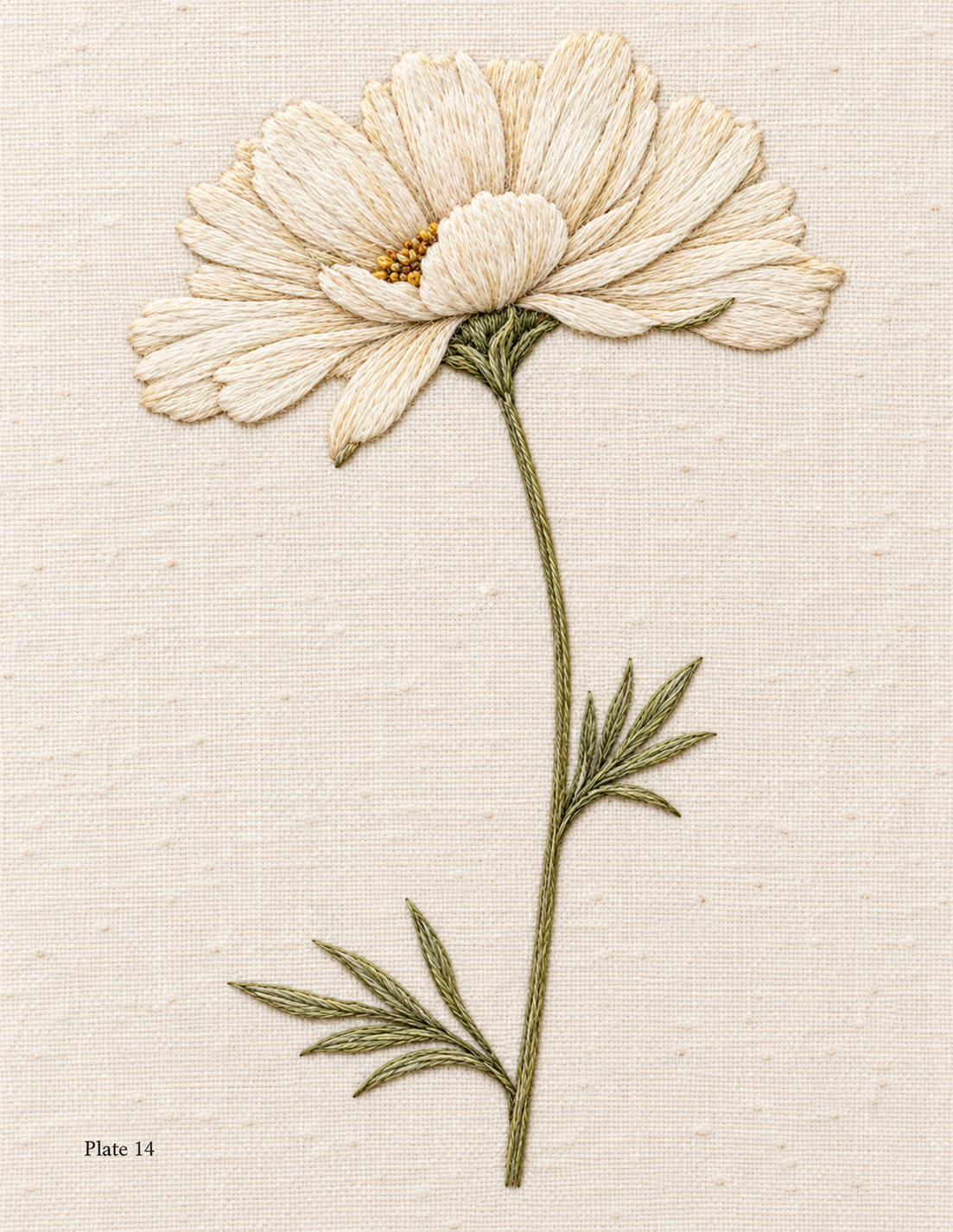 Embroidered interpretation of a cream daisy in side profile on ivory fabric, Study 14.