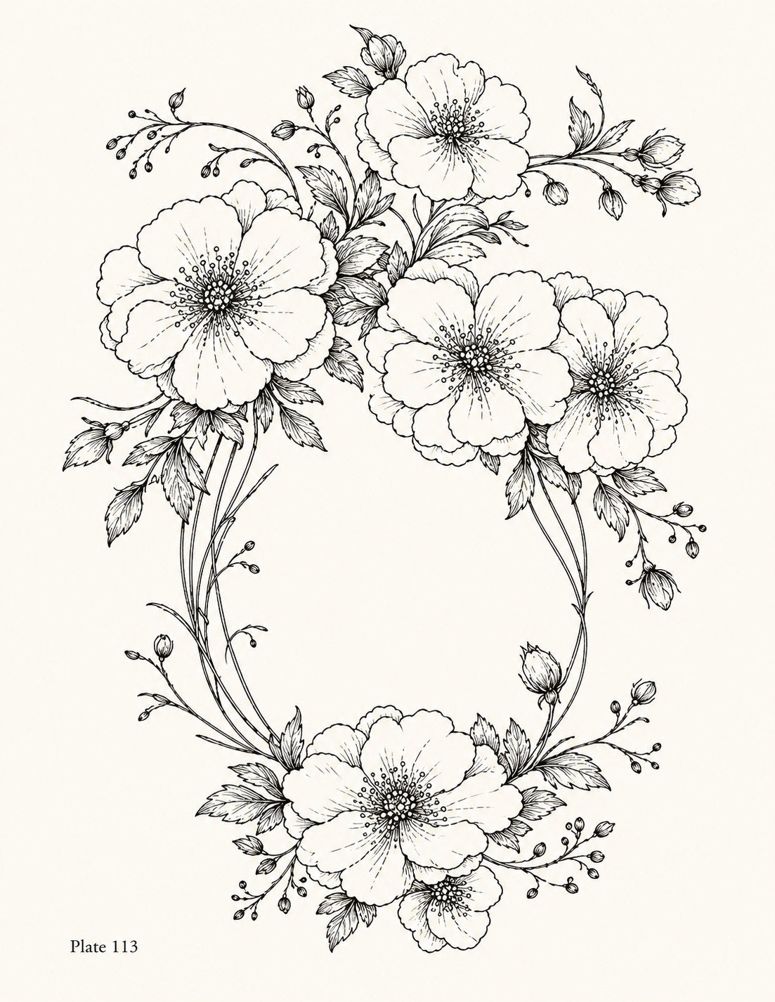 Line drawing of an oval frame formed by six blossoms and leafy stems, Study 113.