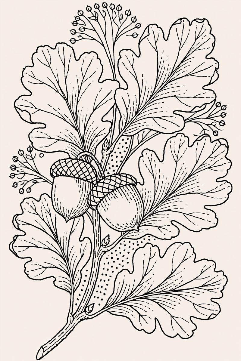 Acorn And Oak Leaf Motif from Halloween & Autumn Embroidery Book 2, a digital embroidery design reference for machine embroidery designs, embroidery patterns and seasonal embroidery motifs.