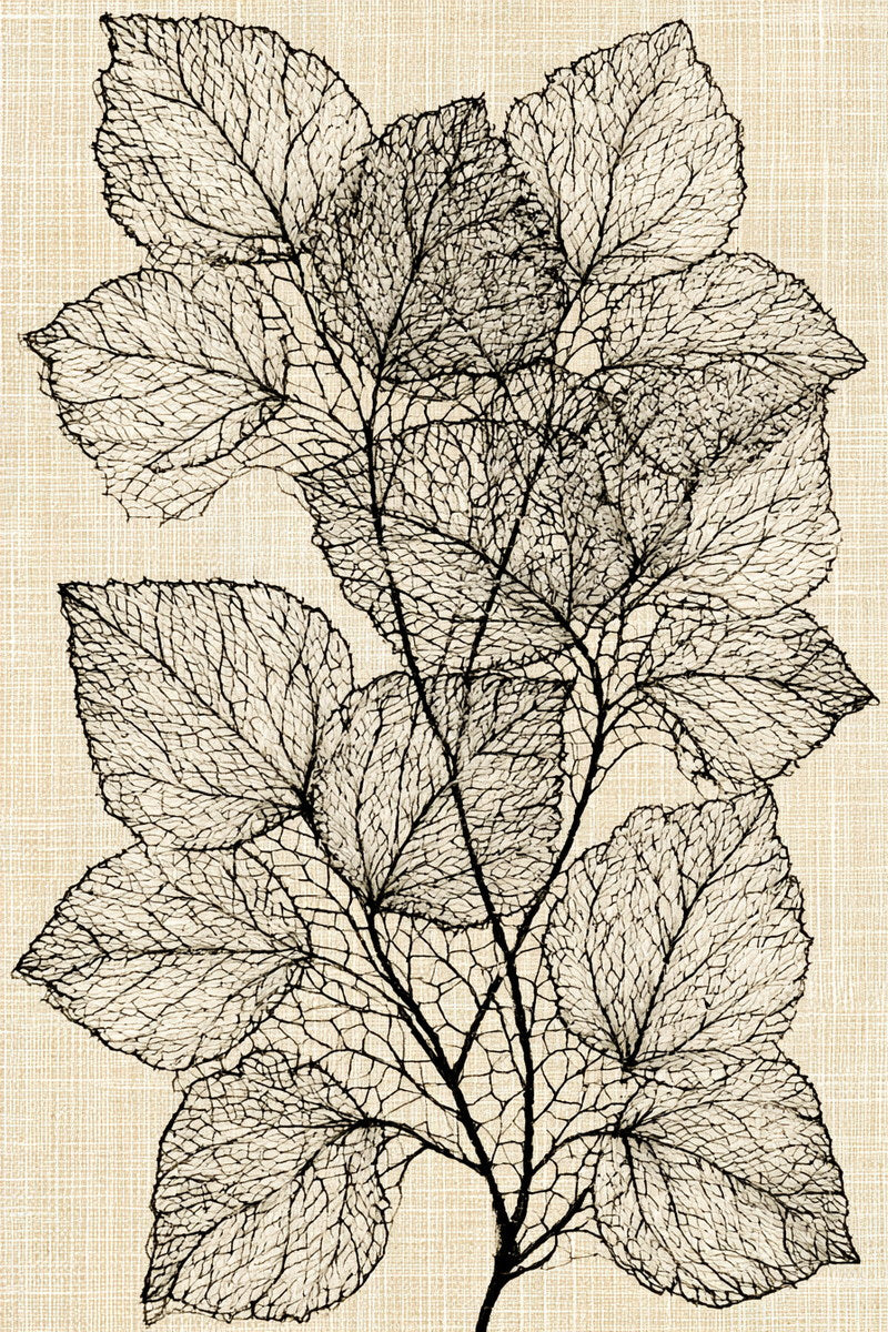 Airy Lace Leaf Cluster from Lace Embroidery & Broderie Designs Book 4, a digital embroidery design reference for machine embroidery designs, embroidery patterns and lace and broderie details.