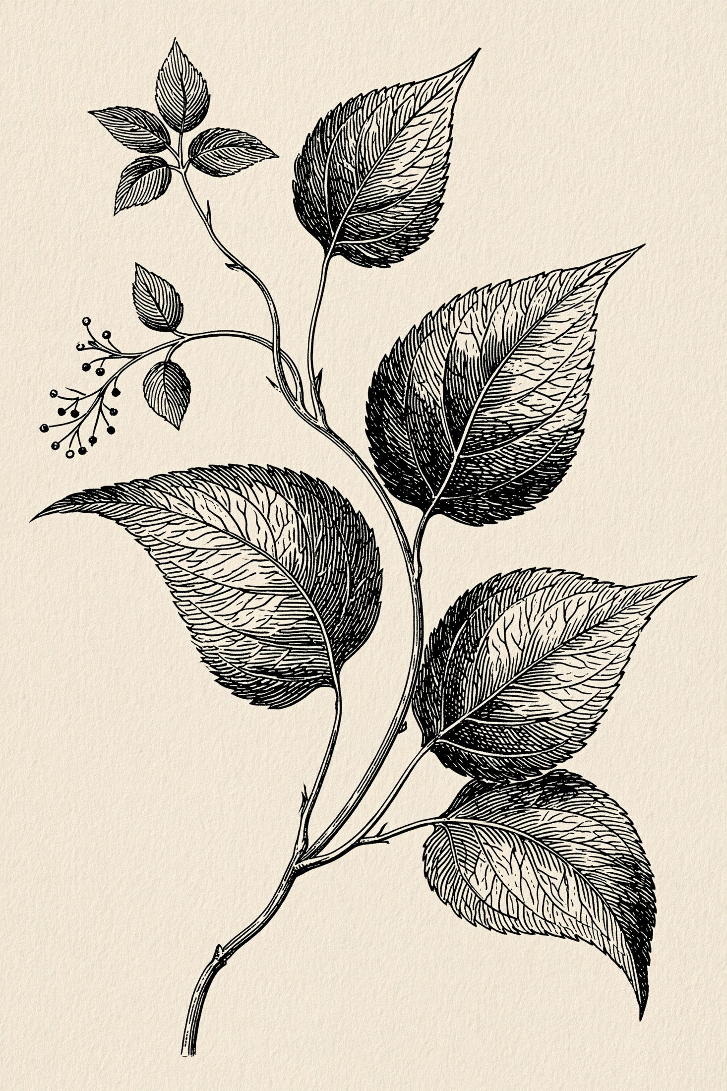 Digital PDF embroidery design bundle cover preview for Botanical Garden Archive Bundle 2, featuring curated embroidery patterns, motif library references and textile design… - preview 28