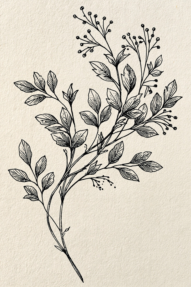 Victorian Sprig & Heirloom Botanicals Book 49 Product Book 4 digital PDF embroidery design book - product image 25