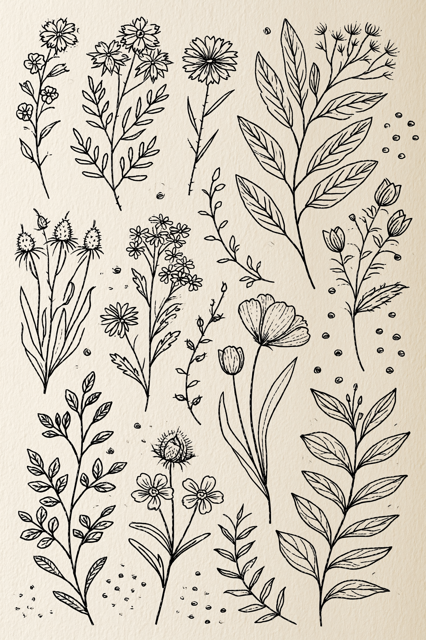 Appliqué Compatible Designs - Book 1 | Digital PDF Embroidery Design Book