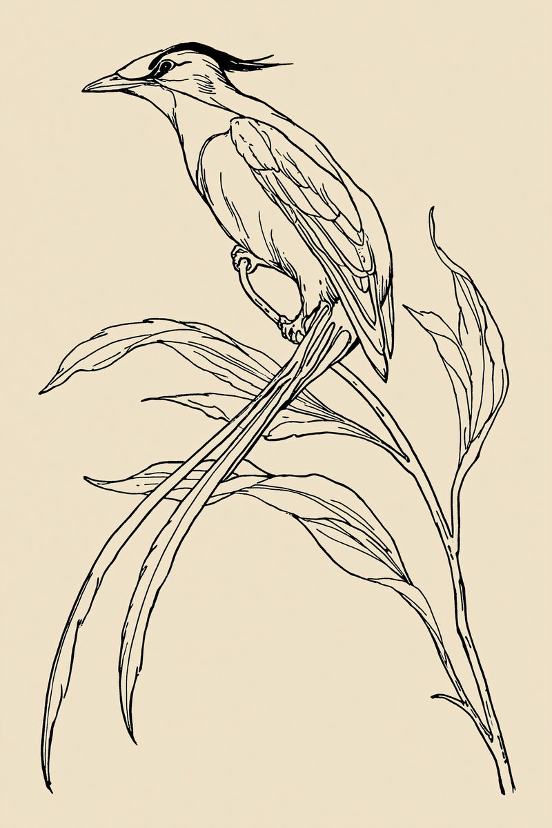 Art Nouveau Bird On Curved 02 from Art Nouveau Needlework Book 1, a digital embroidery design reference for machine embroidery designs, embroidery patterns and embroidery design reference.