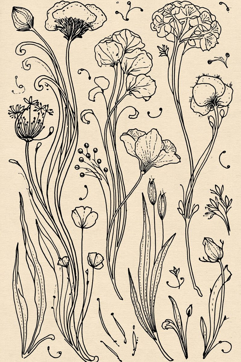 Art Nouveau Botanical Embroidery Pattern from Art Nouveau Botanical Embroidery Book 1, a digital embroidery design reference for machine embroidery designs, embroidery patterns and botanical and floral embroidery.