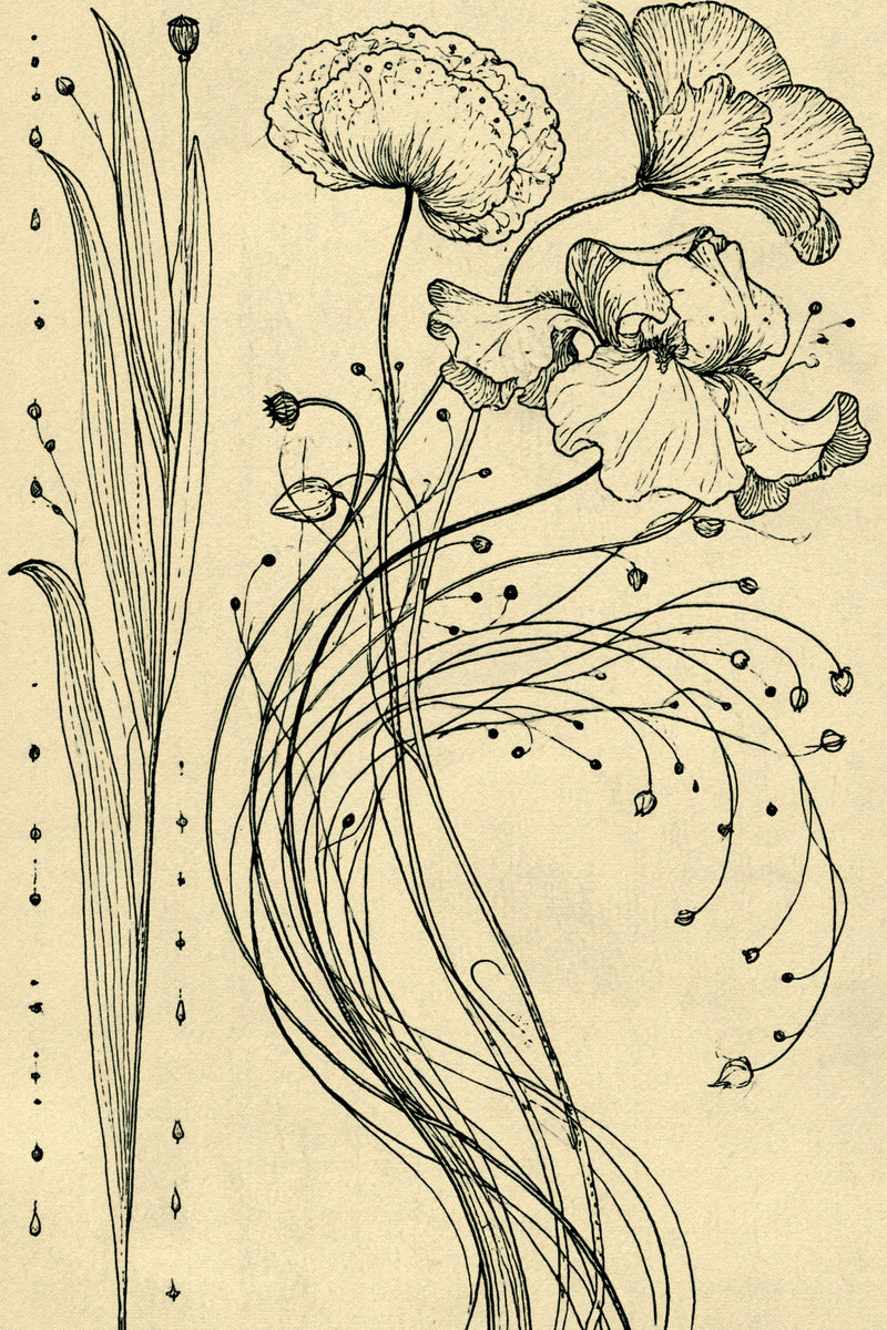 Art Nouveau Botanical Embroidery Pattern from Art Nouveau Botanical Embroidery Book 4, a digital embroidery design reference for machine embroidery designs, embroidery patterns and botanical and floral embroidery.