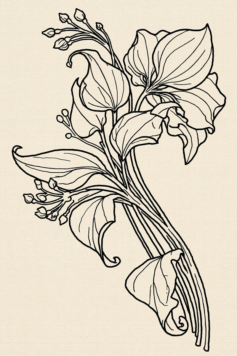 Art Nouveau Napkin Corner from Art Nouveau Needlework Book 1, a digital embroidery design reference for machine embroidery designs, embroidery patterns and corner embroidery.