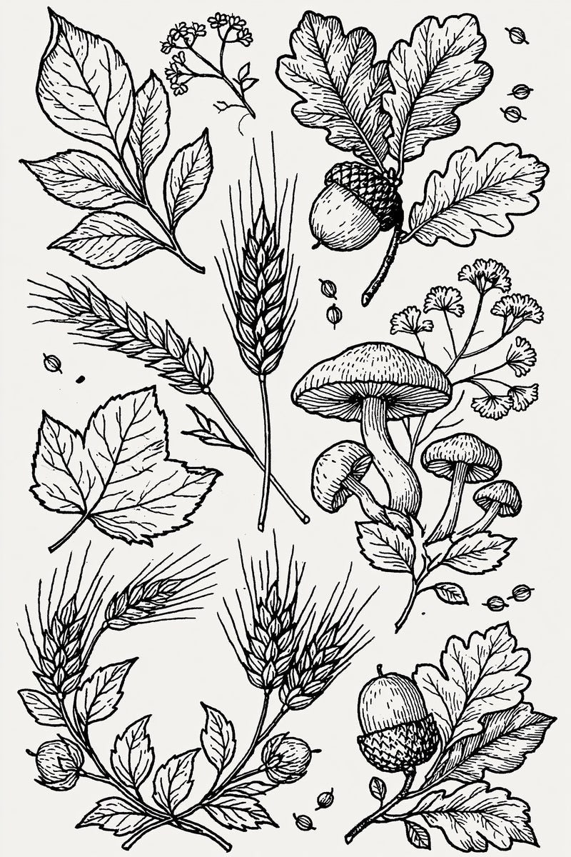 Original oak acorn six wheat mushroom botanical library design plate from Halloween & Autumn Embroidery Edition 3, a digital PDF embroidery design book.