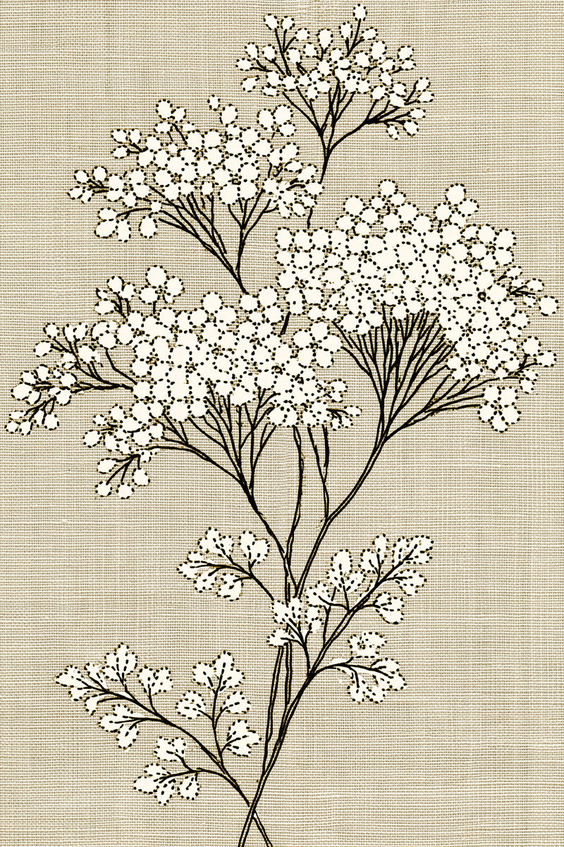 Baby Linen Whitework Motif French from French Embroidery & La Broderie Blanche Book 2, a digital embroidery design reference for machine embroidery designs, embroidery patterns and lace and broderie details.