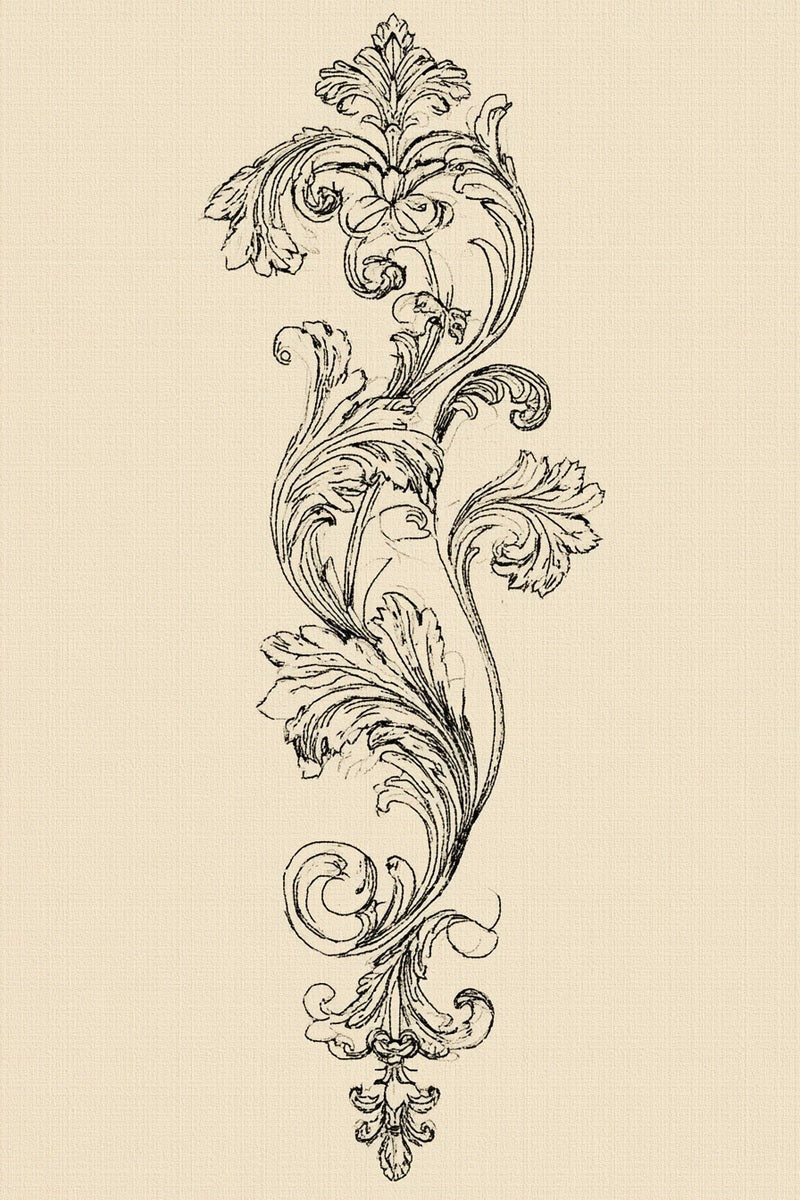 Original drawing of slender vertical acanthus scroll border from Baroque Scrollwork and Luxury Ornament Edition Four.