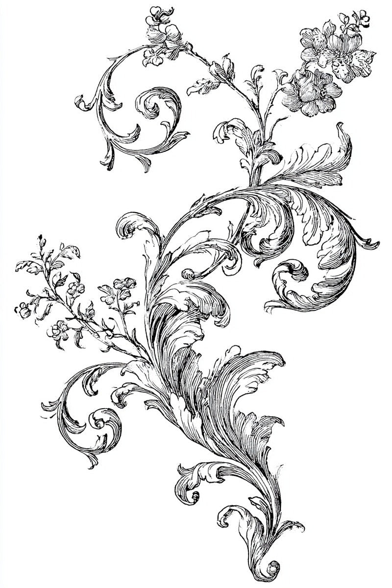 Original drawing of flowering acanthus scroll vine from Baroque Scrollwork and Luxury Ornament Edition Three.