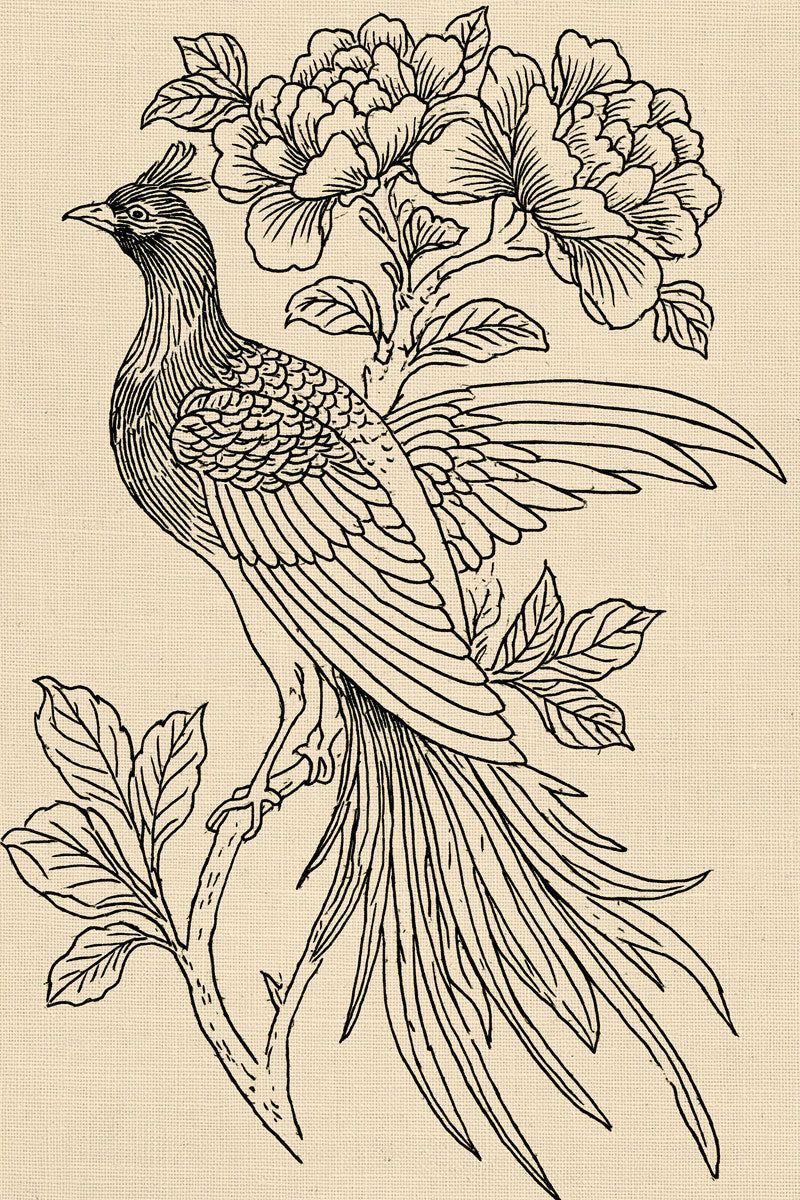 Bird Jacket Back Motif Birds from Birds Embroidery Book 1, a digital embroidery design reference for machine embroidery designs, embroidery patterns and garment placement ideas.