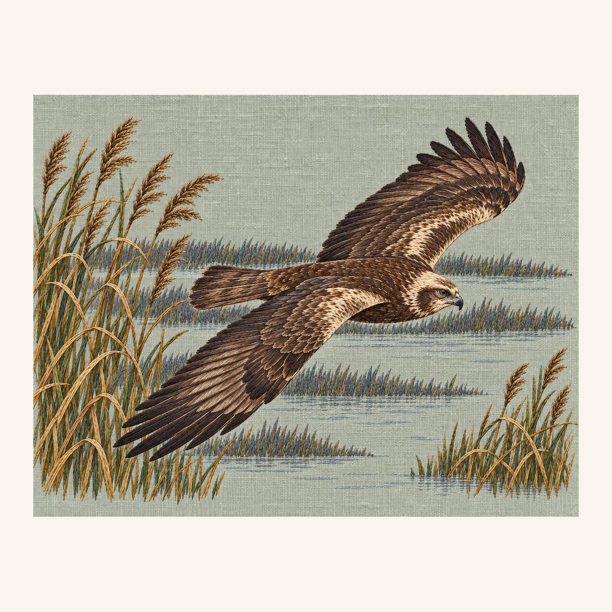 Digital embroidery reference showing a female harrier in low reed-level flight on dusty celadon-grey linen, landscape composition.