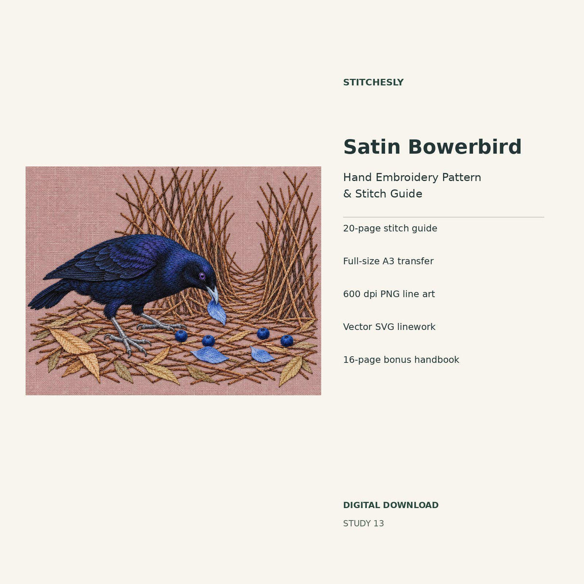 Satin Bowerbird hand embroidery digital package cover showing the reference artwork and included guide, transfer, PNG, SVG and bonus handbook.