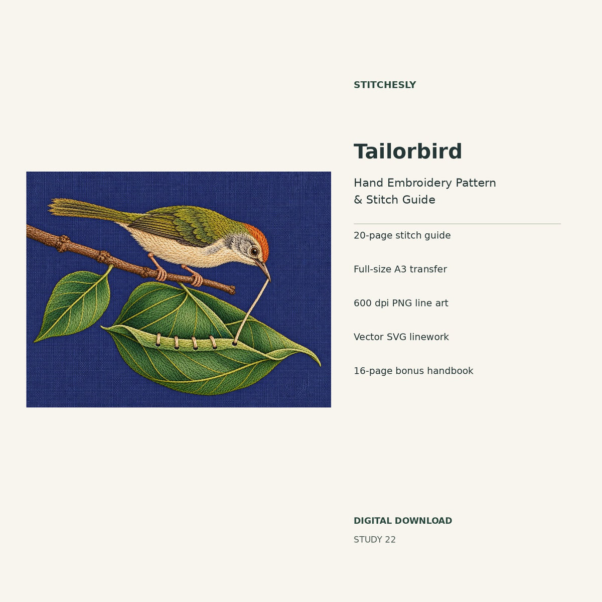 Tailorbird hand embroidery digital package cover showing the reference artwork and included guide, transfer, PNG, SVG and bonus handbook.