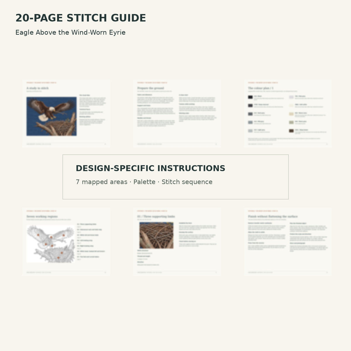 Protected page overview of the 20-page Eagle stitch guide, including its numbered map, suggested palette and working sequence.