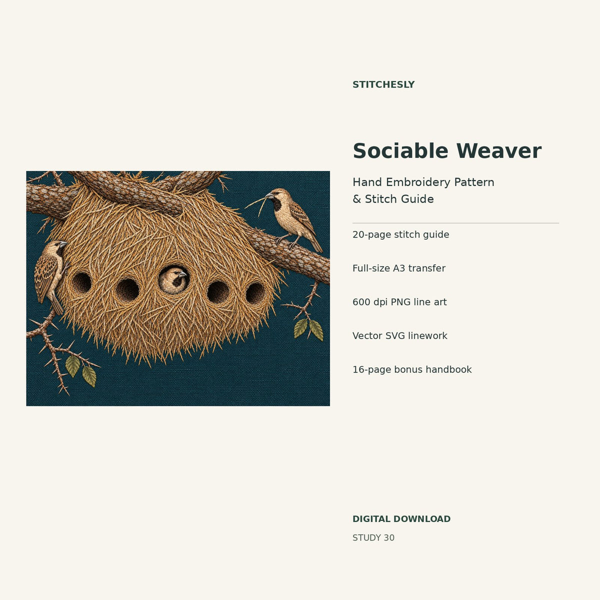 Sociable Weaver hand embroidery digital package cover showing the reference artwork and included guide, transfer, PNG, SVG and bonus handbook.