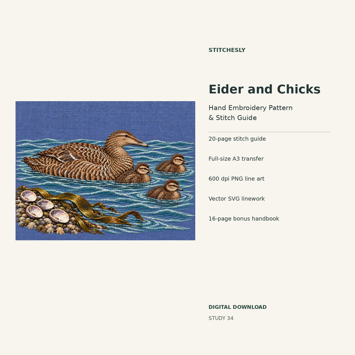 Eider and Chicks hand embroidery digital package cover showing the reference artwork and included guide, transfer, PNG, SVG and bonus handbook.