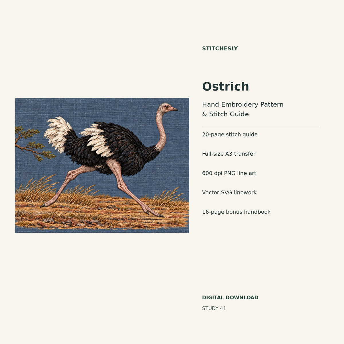 Ostrich hand embroidery digital package cover showing the reference artwork and included guide, transfer, PNG, SVG and bonus handbook.