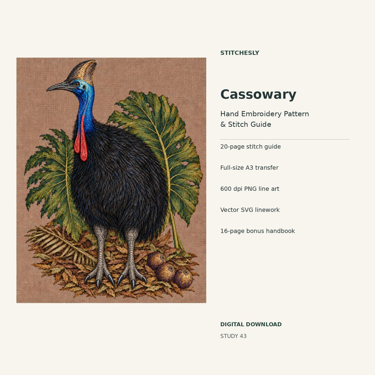 Cassowary hand embroidery digital package cover showing the reference artwork and included guide, transfer, PNG, SVG and bonus handbook.