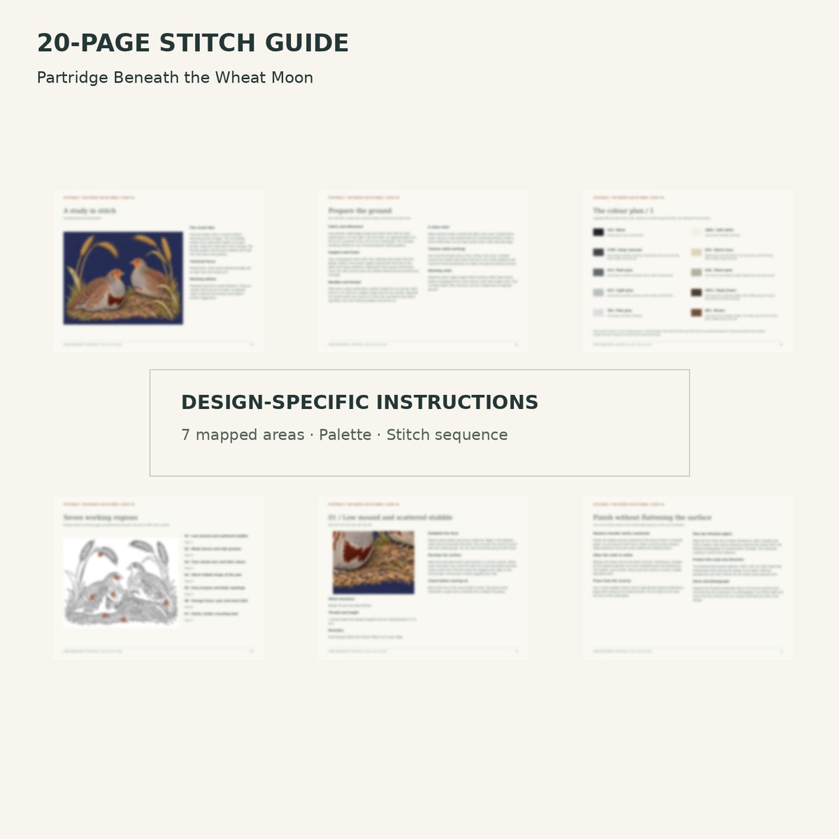 Protected page overview of the 20-page Partridge Pair stitch guide, including its numbered map, suggested palette and working sequence.