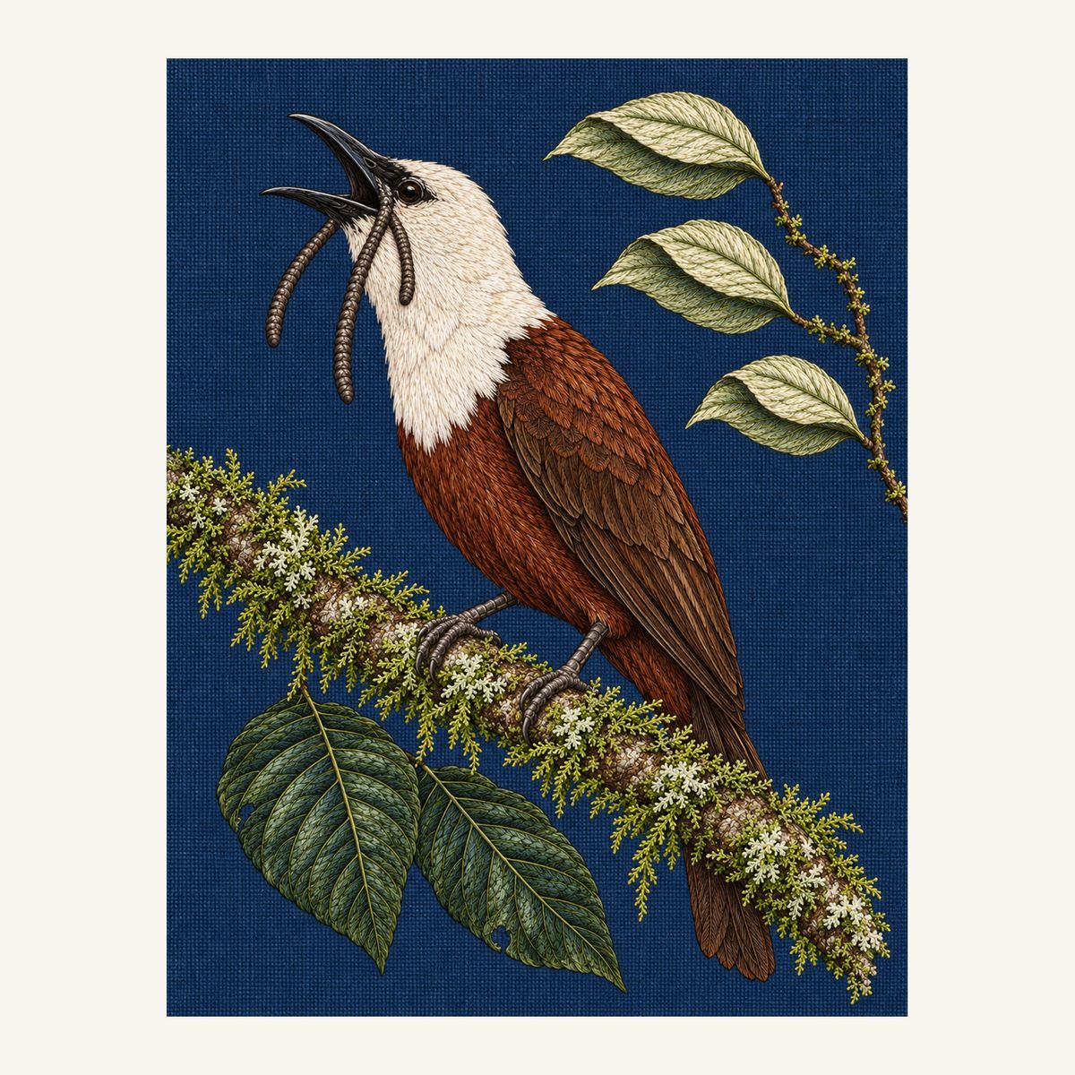Digital embroidery reference showing a calling bellbird with three facial wattles on deep smoky marine-blue linen, portrait composition.