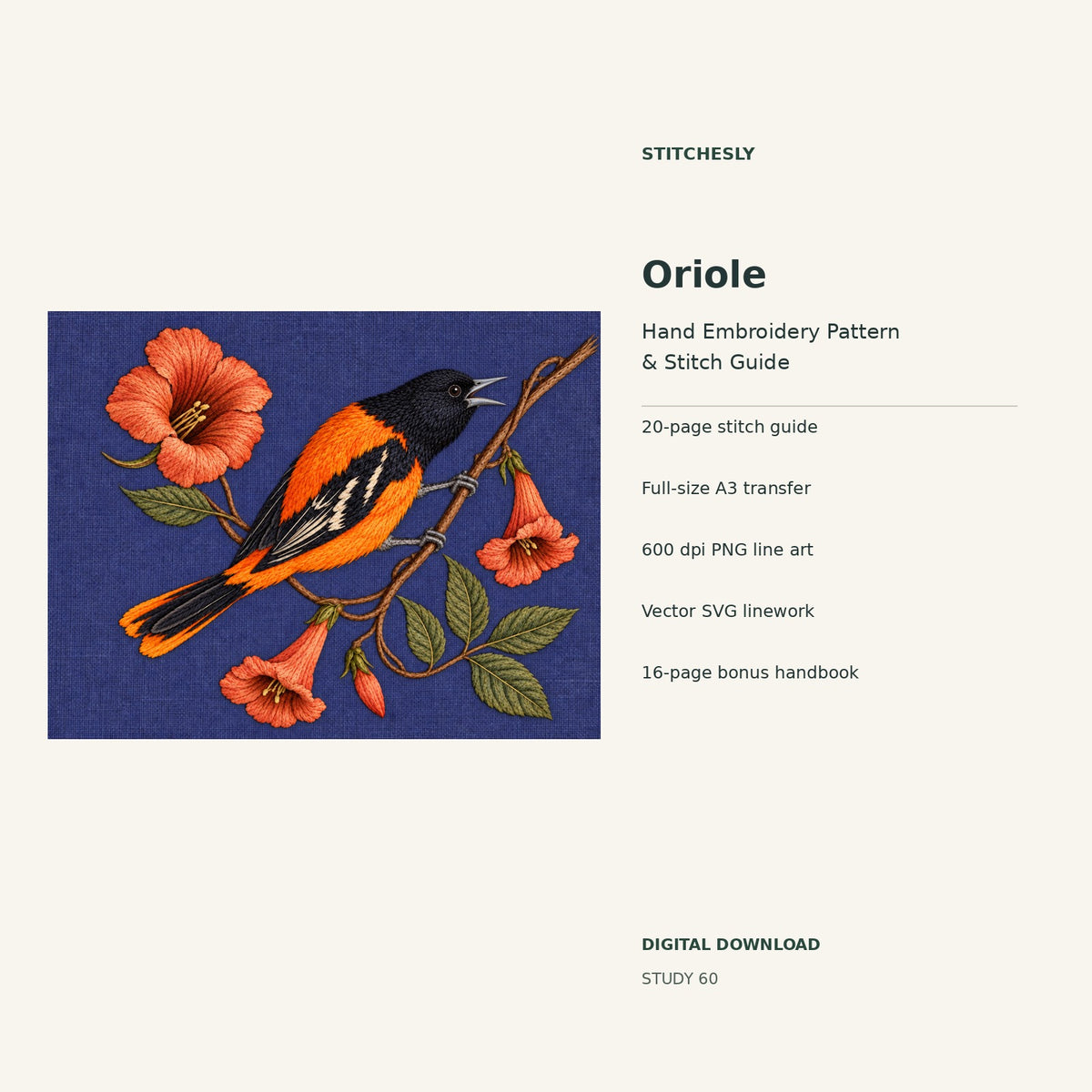Oriole hand embroidery digital package cover showing the reference artwork and included guide, transfer, PNG, SVG and bonus handbook.