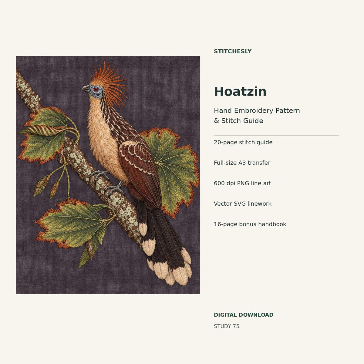 Hoatzin hand embroidery digital package cover showing the reference artwork and included guide, transfer, PNG, SVG and bonus handbook.