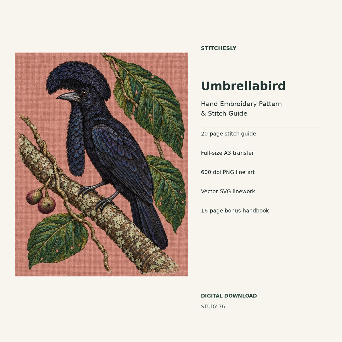 Umbrellabird hand embroidery digital package cover showing the reference artwork and included guide, transfer, PNG, SVG and bonus handbook.