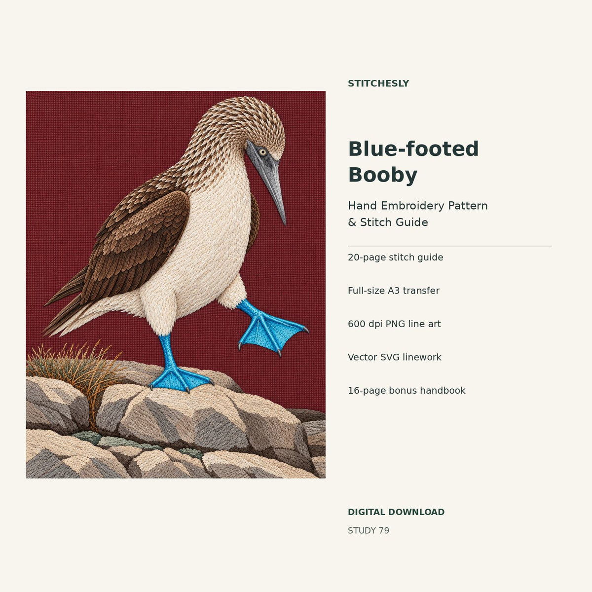 Blue-footed Booby hand embroidery digital package cover showing the reference artwork and included guide, transfer, PNG, SVG and bonus handbook.