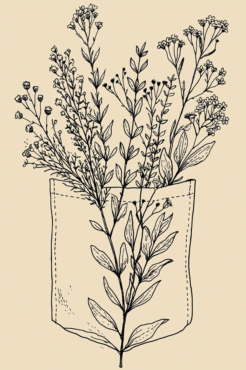Botanical Apron Pocket Design 02 from Napkins, Table Runners & Kitchen Linens Book 4, a digital embroidery design reference for machine embroidery designs, embroidery patterns and border and edge embroidery.