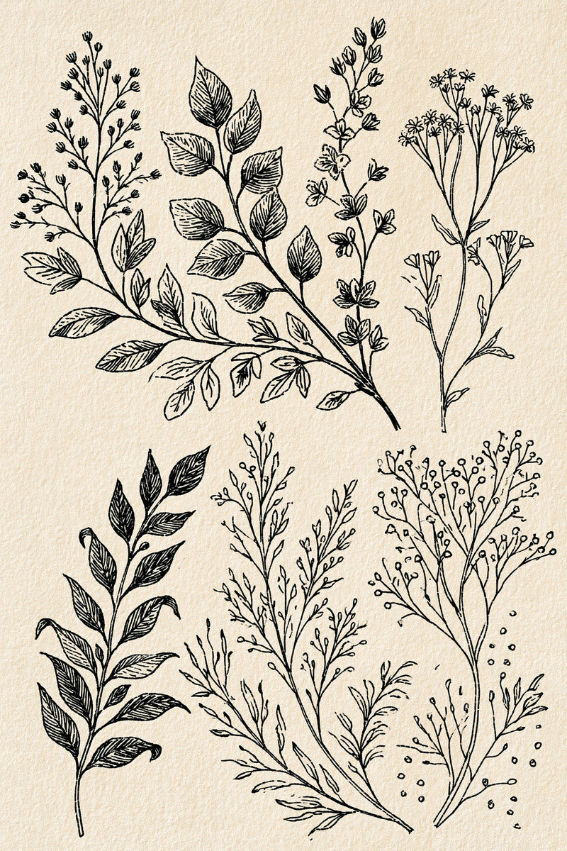 Botanical Border And Filler System from Botanical Sprig Library Book 1, a digital embroidery design reference for machine embroidery designs, embroidery patterns and border and edge embroidery.