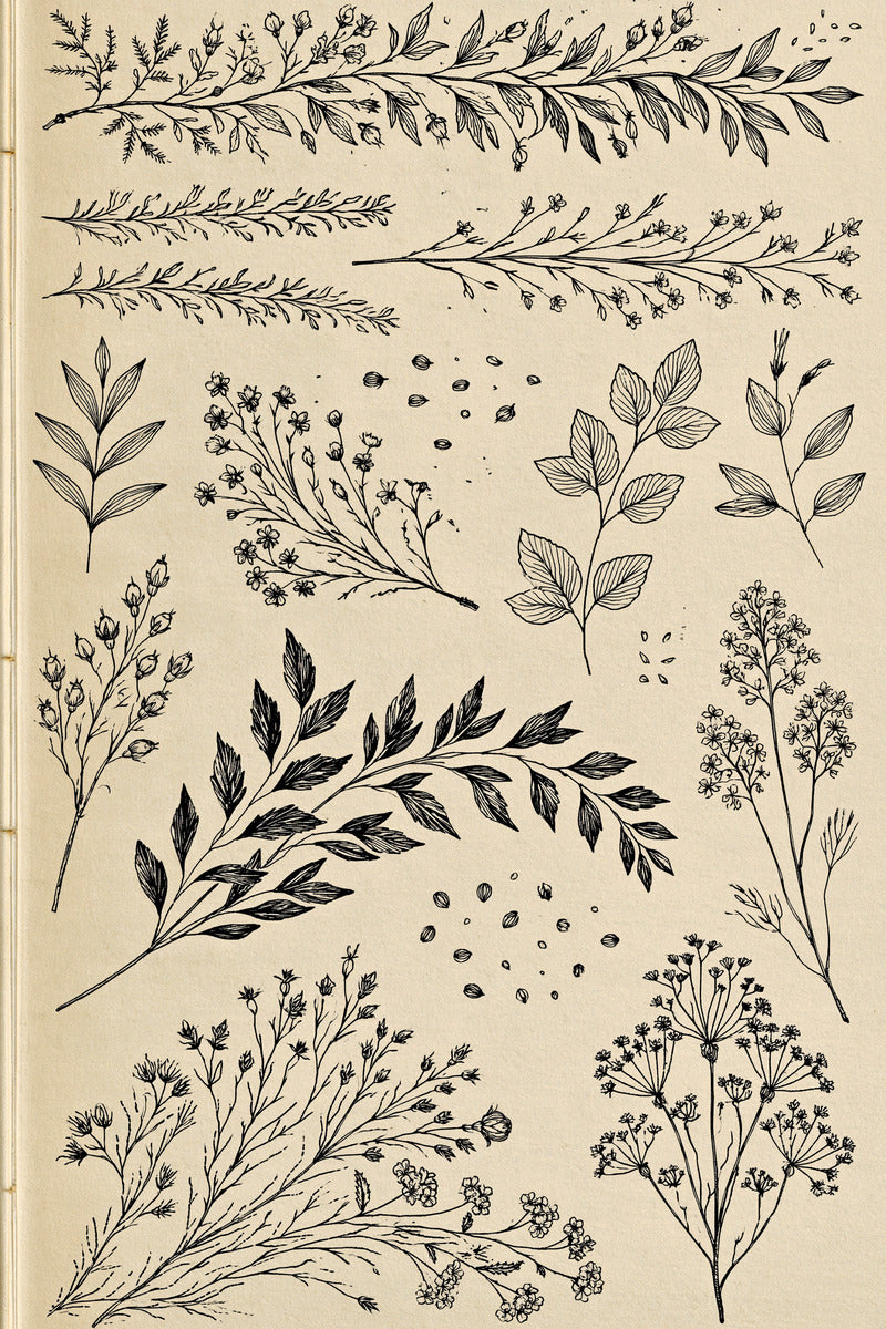 Botanical Borders Filler Systems And from Botanical Sprig Library Book 2, a digital embroidery design reference for machine embroidery designs, embroidery patterns and border and edge embroidery.