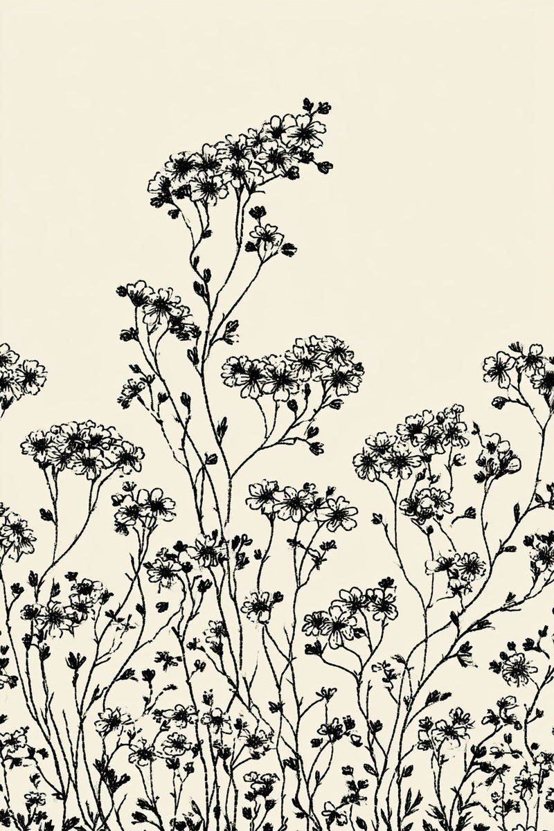 Drawing of a meadow border with fine flowering stems.