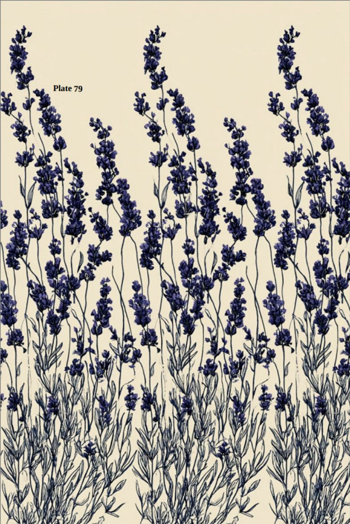 Digital PDF embroidery design bundle cover preview for Botanical Garden Archive Bundle 1, featuring curated embroidery patterns, motif library references and textile design… - preview 13