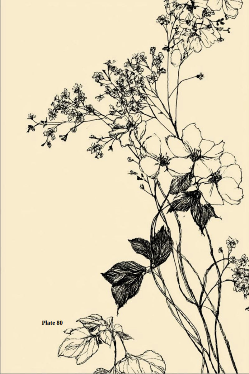Botanical Embroidery Designs Book 04 from Botanical Embroidery Designs Book 1, a digital embroidery design reference for machine embroidery designs, embroidery patterns and botanical and floral embroidery.