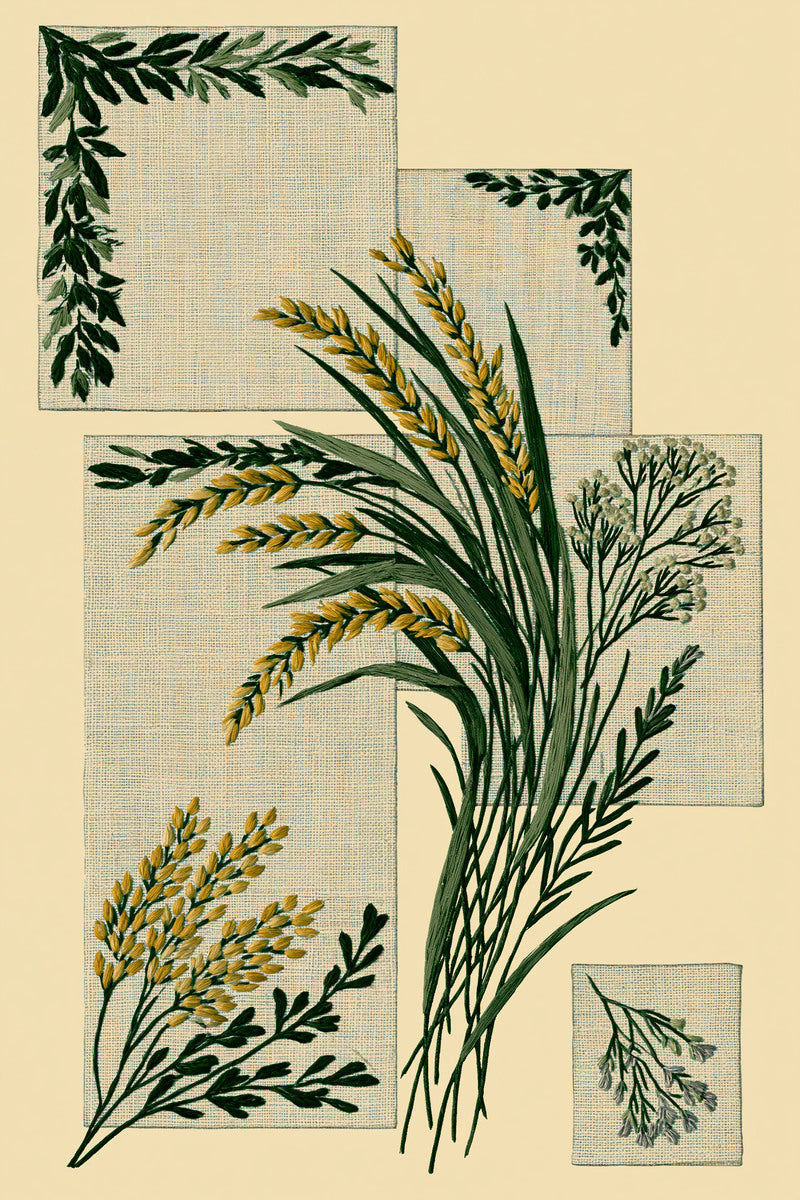 Botanical Home Linen Placement Set from Napkins, Table Runners & Kitchen Linens Book 4, a digital embroidery design reference for machine embroidery designs, embroidery patterns and border and edge embroidery.