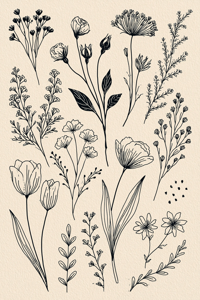 Botanical Outline Library Plate Backstitch from Backstitch & Outline Designs Book 1, a digital embroidery design reference for machine embroidery designs, embroidery patterns and botanical and floral embroidery.